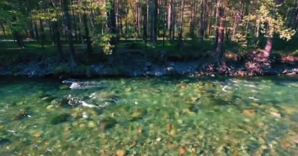 Low altitude flight over fresh fast mountain river with rocks at sunny summer morning. — Stock Video