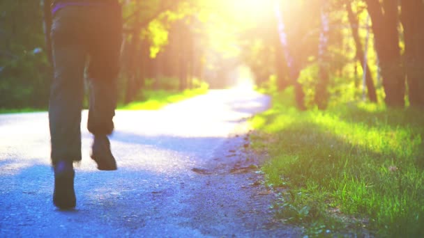 Sport man running at asphalt road. Rural city park. Green tree forest and sun rays on horizon. — Stock Video