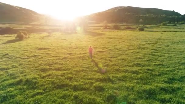 Vuelo sobre el hombre del deporte en el prado de hierba verde perfecto. Puesta de sol en montaña — Vídeo de stock