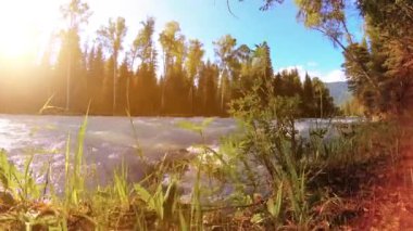 Dağ nehri kıyısındaki çayır. Yeşil çimlerle, çam ağaçlarıyla ve güneş ışınlarıyla kaplı bir manzara. Motorlu kaydırma kulesinde hareket.