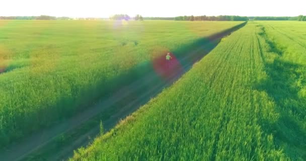 Vue aérienne sur le jeune garçon, qui monte à vélo à travers un champ d'herbe de blé sur la vieille route rurale. Lumière du soleil et rayons. — Video