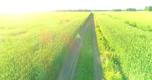 Letecký pohled na mladého chlapce, který jede na kole přes pšeničné trávníkové pole na staré venkovské silnici. Sluneční světlo a paprsky. — Stock video