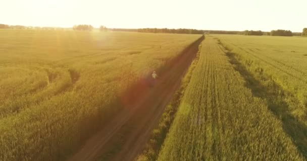 Luchtfoto op jonge jongen, die rijdt op een fiets door een graan grasveld op de oude landelijke weg. Zonlicht en stralen. — Stockvideo