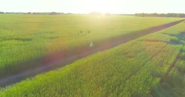 Εναέρια άποψη για το νεαρό αγόρι, που οδηγεί ένα ποδήλατο μέσα από ένα χωράφι με σιτάρι γρασίδι στον παλιό αγροτικό δρόμο. Ηλιακό φως και ακτίνες. — Αρχείο Βίντεο