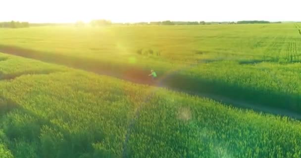 Vedere aeriană asupra unui băiat tânăr, care merge cu bicicleta printr-un câmp de iarbă de grâu pe vechiul drum rural. Lumina soarelui și grinzi . — Videoclip de stoc