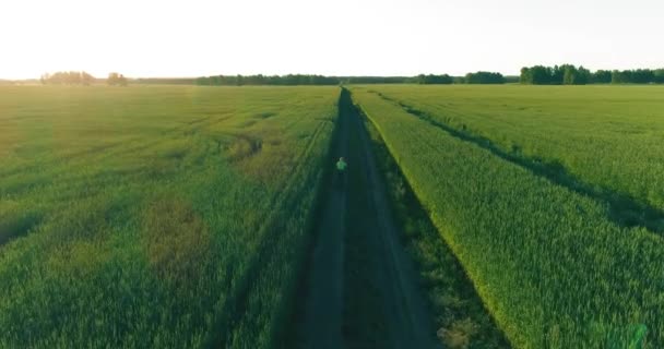 Flygfoto på ung pojke, som rider en cykel genom ett vete gräs fält på den gamla landsvägen. Solljus och strålar. — Stockvideo