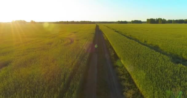 Vista aérea sobre o menino, que monta uma bicicleta através de um campo de grama de trigo na antiga estrada rural. Luz solar e vigas. — Vídeo de Stock