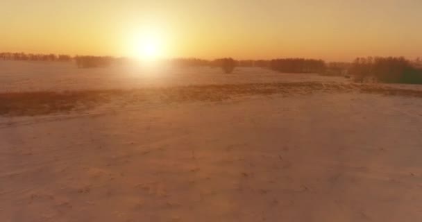 Drohnenaufnahme der kalten Winterlandschaft mit arktischem Feld, Bäumen mit Frostschnee und Morgensonnenstrahlen über dem Horizont. — Stockvideo