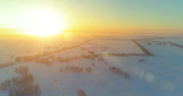 Vue aérienne par drone du paysage hivernal froid avec champ arctique, arbres couverts de neige verglaçante et rayons du soleil matinaux au-dessus de l'horizon.