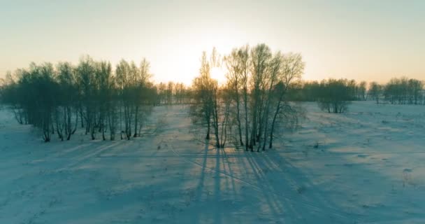 Aerial drone view of cold winter landscape with arctic field, trees covered with frost snow and morning sun rays over horizon. — Stock Video