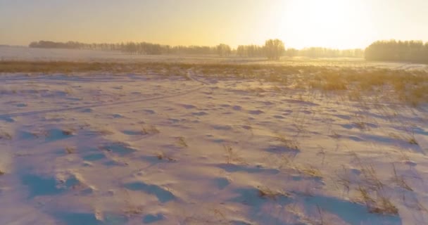 Drohnenaufnahme der kalten Winterlandschaft mit arktischem Feld, Bäumen mit Frostschnee und Morgensonnenstrahlen über dem Horizont. — Stockvideo