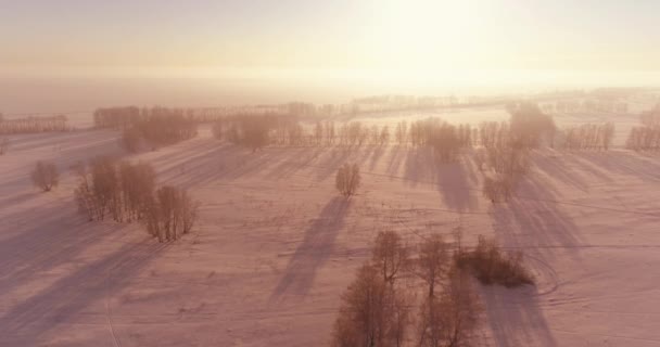 Luchtfoto drone uitzicht op koud winterlandschap met poolveld, bomen bedekt met vorst sneeuw en ochtendzon stralen over horizon. — Stockvideo