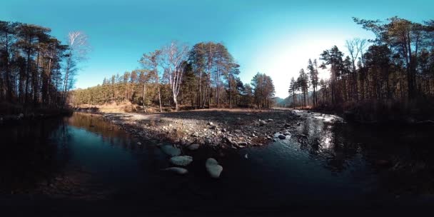 360 VR réalité virtuelle d'une montagne sauvage, pinède et rivière coule. Parc national, prairie et rayons du soleil. — Video