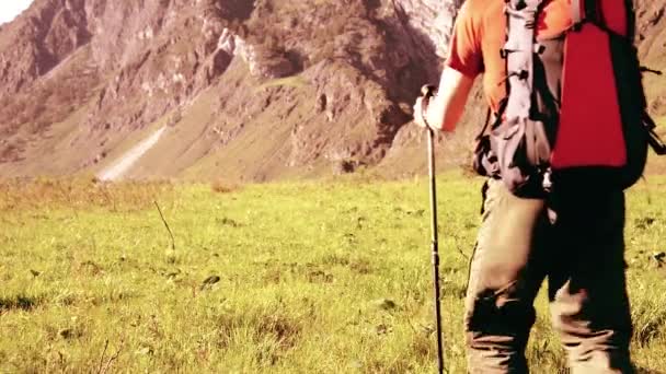 Wandersmann auf der grünen Bergwiese mit Rucksack. Sommersport- und Freizeitkonzept. — Stockvideo