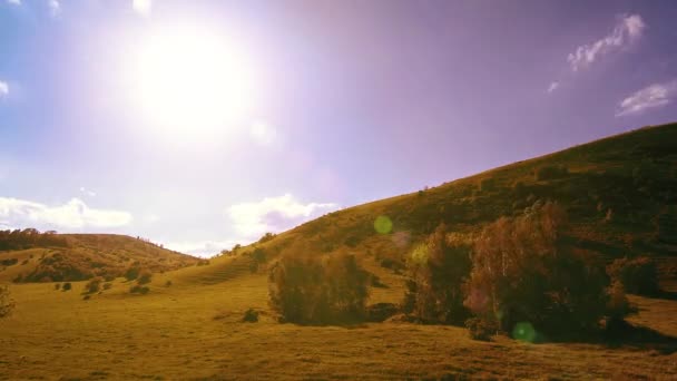 Górski łąka timelapse latem. Chmury, drzewa, zielona trawa i promieniowanie słoneczne. — Wideo stockowe