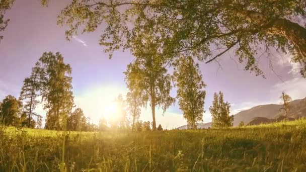 Mountain meadow time-lapse at the summer or autumn time. Wild nature and rural field. Motorised slider dolly movement. — Stock Video