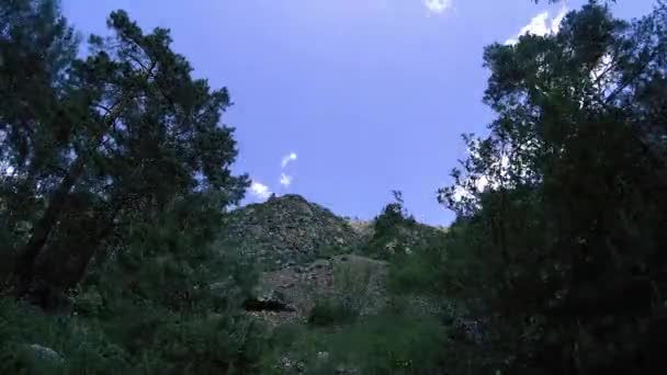 4K UHD berg timelapse in de zomer. Wolken groene bomen en zonnestralen beweging. — Stockvideo