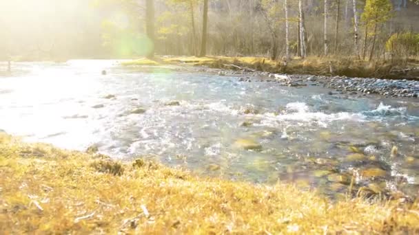 Dolly ormanın yakınındaki bir dağ nehrinde akan suyun kaygan görüntüsü. Islak kayalar ve güneş ışınları. Yatay sabit hareket. — Stok video