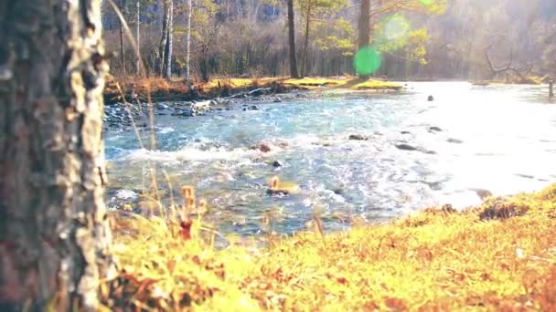 Dolly slider shot van het spetterende water in een berg rivier in de buurt van bos. Natte rotsen en zonnestralen. Horizontale constante beweging. — Stockvideo