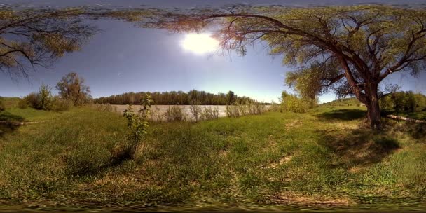 UHD 4K 360 VR La realidad virtual de un río fluye sobre rocas en un hermoso paisaje de bosque de montaña — Vídeo de stock