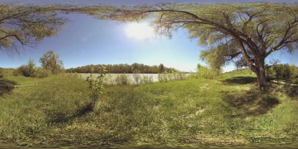 UHD 4K 360 VR La realidad virtual de un río fluye sobre rocas en un hermoso paisaje de bosque de montaña — Vídeos de Stock