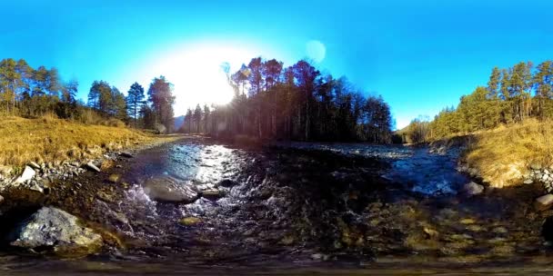 360 VR virtual reality van een wilde bergen, dennenbos en rivierstromen. Nationaal park, weide en zonnestralen. — Stockvideo