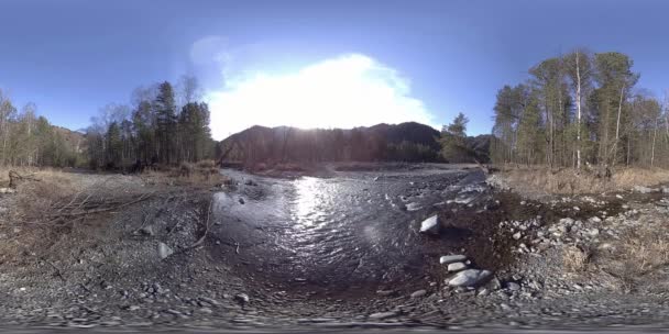 360 VR realidad virtual de montañas salvajes, bosques de pinos y ríos fluye. Parque Nacional, prados y rayos de sol. — Vídeo de stock