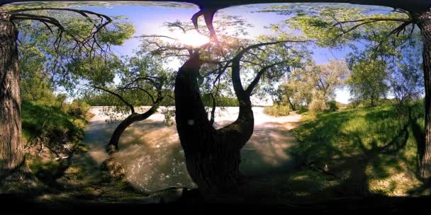 UHD 4K 360 VR La realidad virtual de un río fluye sobre rocas en un hermoso paisaje de bosque de montaña — Vídeos de Stock