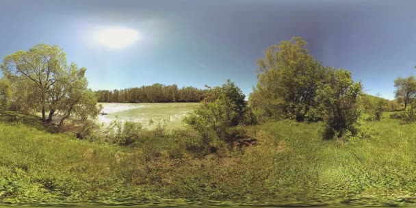 UHD 4k 360 Vr Virtual Reality van een rivier stroomt over rotsen in het prachtige berglandschap van de bos — Stockvideo