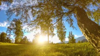 Yaz veya sonbahar aylarında dağ çayır zaman atlamalı. Vahşi doğa ve kırsal alan. Motorlu sürgü dolly hareketi.