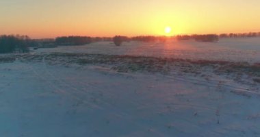 Arktik çayırlı soğuk kış manzarası, karla kaplı ağaçlar ve ufukta sabah güneşleri..