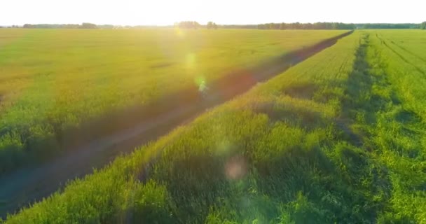 Vista aérea sobre el niño, que monta en bicicleta a través de un campo de hierba de trigo en el viejo camino rural. Luz solar y rayos. — Vídeo de stock