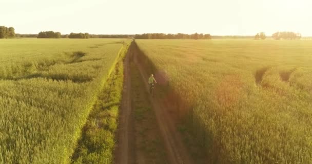 Vista aérea sobre o menino, que monta uma bicicleta através de um campo de grama de trigo na antiga estrada rural. Luz solar e vigas. — Vídeo de Stock