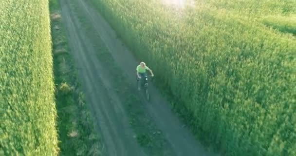 Veduta aerea sul ragazzo, che cavalca una bicicletta attraverso un campo di erba di grano sulla vecchia strada rurale. Luce solare e raggi. — Video Stock