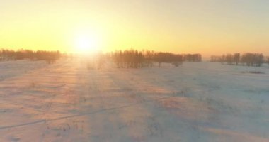 Arktik çayırlı soğuk kış manzarası, karla kaplı ağaçlar ve ufukta sabah güneşleri..