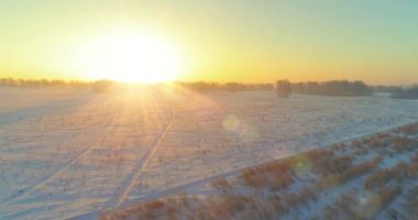 Arktik çayırlı soğuk kış manzarası, karla kaplı ağaçlar ve ufukta sabah güneşleri..
