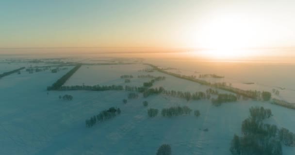 Widok z lotu ptaka na zimny zimowy krajobraz z polem arktycznym, drzewa pokryte mrozem śniegu i poranne promienie słońca nad horyzontem. — Wideo stockowe