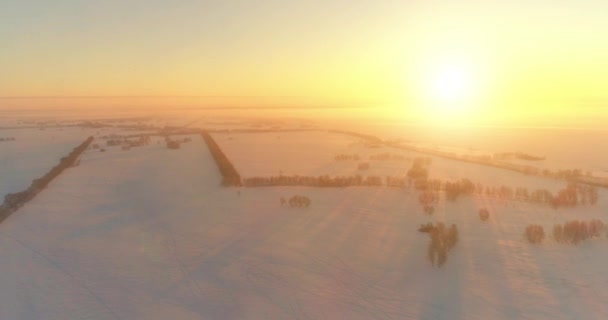 Vista aérea do drone da paisagem fria do inverno com campo ártico, árvores cobertas com neve da geada e raios do sol da manhã sobre o horizonte. — Vídeo de Stock