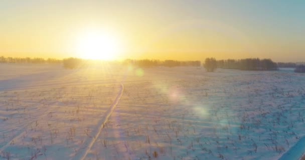 Vista aérea do drone da paisagem fria do inverno com campo ártico, árvores cobertas com neve da geada e raios do sol da manhã sobre o horizonte. — Vídeo de Stock