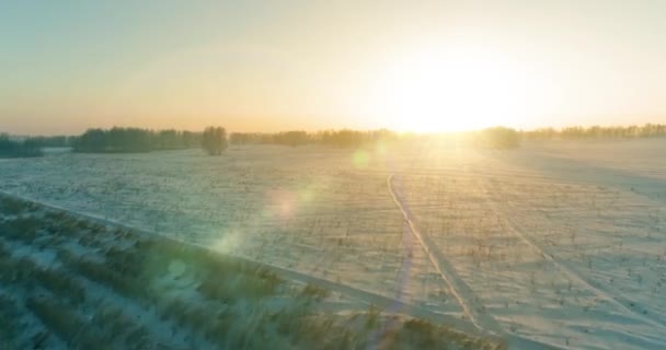 Luchtfoto drone uitzicht op koud winterlandschap met poolveld, bomen bedekt met vorst sneeuw en ochtendzon stralen over horizon. — Stockvideo