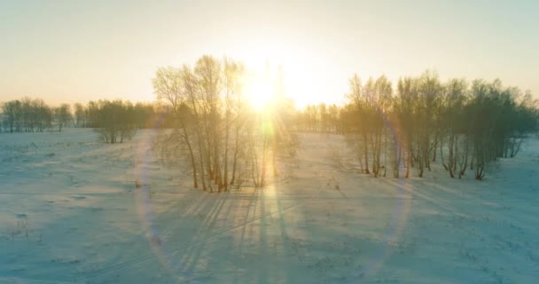 Воздушный беспилотник с видом на холодный зимний пейзаж с арктическим полем, деревья, покрытые морозным снегом и утренние солнечные лучи над горизонтом. — стоковое видео