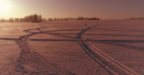 Vista aérea de drones del frío paisaje invernal con campo ártico, árboles cubiertos de nieve helada y rayos de sol matutinos sobre el horizonte. — Vídeos de Stock