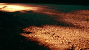 Asfalt yolda koşan sporcu. Kırsal şehir parkı. Yeşil ağaç ormanı ve ufukta güneş ışığı.