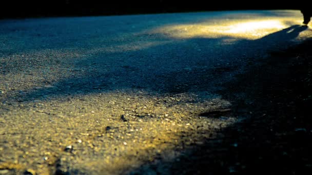 Sportler läuft auf Asphaltstraße. Ländlicher Stadtpark. Grüner Baumwald und Sonnenstrahlen am Horizont. — Stockvideo