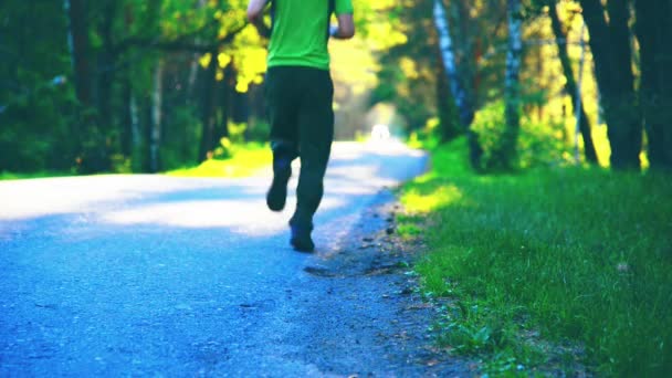 Homem do desporto a correr na estrada de asfalto. Parque rural da cidade. Floresta de árvore verde e raios de sol no horizonte. — Vídeo de Stock