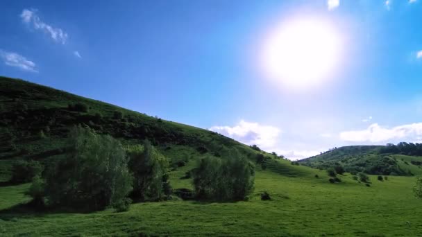 Horská louka ubíhá v létě. Mraky, stromy, zelená tráva a sluneční paprsky pohyb. — Stock video