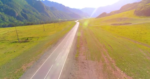 Flug über asphaltierte Bergstraße und Wiese — Stockvideo