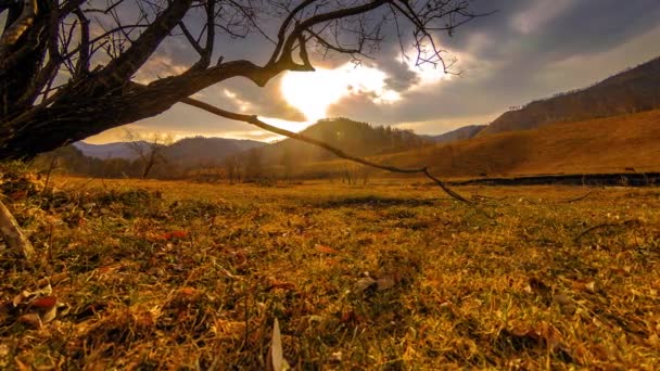 Time lapse of death tree and dry yellow grass at mountian landscape με σύννεφα και ακτίνες του ήλιου. Οριζόντια κίνηση κύλισης — Αρχείο Βίντεο