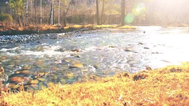 Dolly slider shot of the splashing water in a mountain river near forest. Rochers humides et rayons du soleil. Mouvement horizontal régulier. — Video