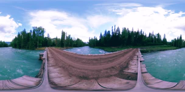 360 VR виртуальная реальность дикого леса. Сосновый лес, маленькая быстрая холодная горная река. Национальный парк. — стоковое видео